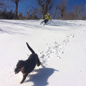 Meet your Posher, Scott